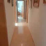 El Estacio Point, Large & Comfort